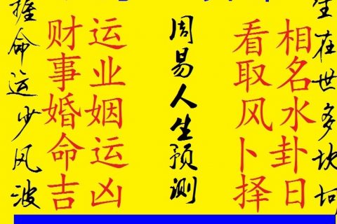 玄奥八字_玄奥八字排盘算命_玄奥八字6.0手机版