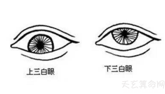 眼睛下眼白多的男人面相 下眼白多的人命运好不好   下眼白多的人命运解析