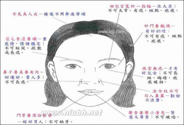 额头高的男人面相_额头高的男人面相图解_m字额头不能嫁的男人面相