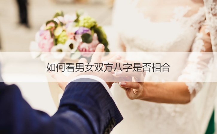 免费合婚姻八字_合婚姻八字可信吗_免费八字测婚姻缘份