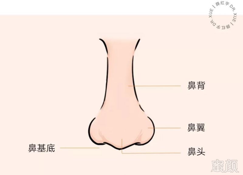 断眉男人面相分析_鼻头大鼻翼宽面相男人_断鼻的男人面相