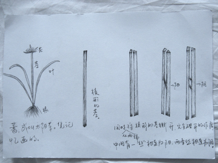 抽签算命诸葛神算测字_测字解密中华神秘文化测字术_测字算命教程