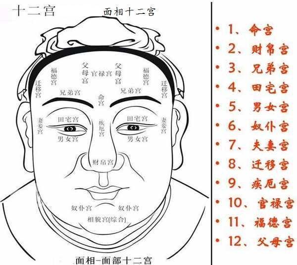 看五官面相算命图解视频_额头面相算命图解_看额头面相算命图解