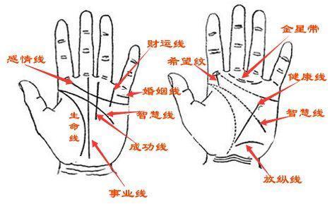 额头面相算命图解_看额头面相算命图解_看五官面相算命图解视频