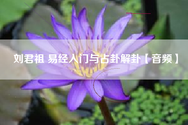 刘君祖 易经入门与占卦解卦【音频】