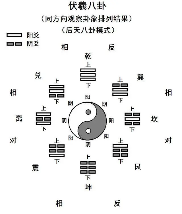 龟肚之谜：殷商占卜方向的甲骨文研究及建议仅供参考