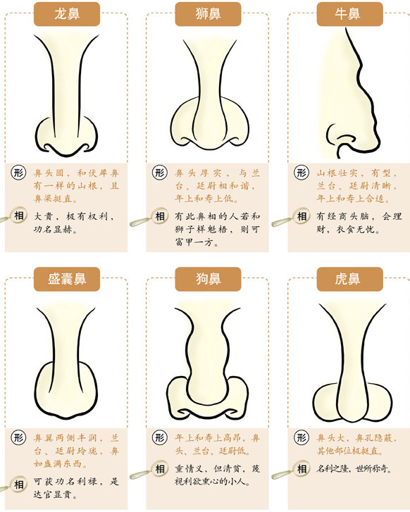 鼻子有着不同的面相含义，接下来一生迷命理网最准大师算命