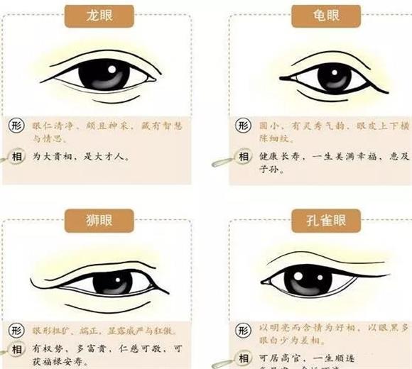 金鱼眼的人面相学眼睛有什么说法?