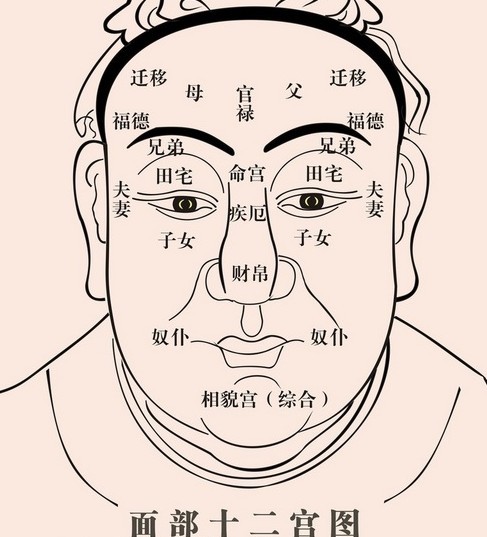 什么样风水堂:什么样面相的女孩子恋爱不主动