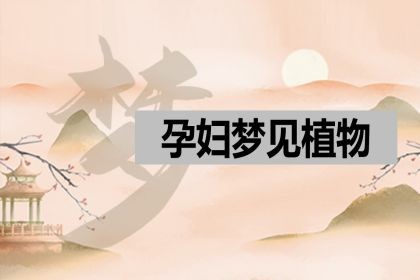 慈世堂：梦见孕妇梦见绿植的含义有哪些？