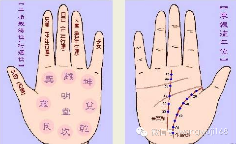 （李向东）老公的面相面相特征，你知道吗？