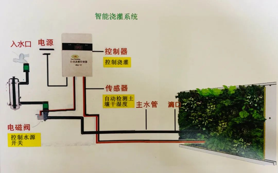 zhang涨zhishi知识室内植物墙，了解一下？