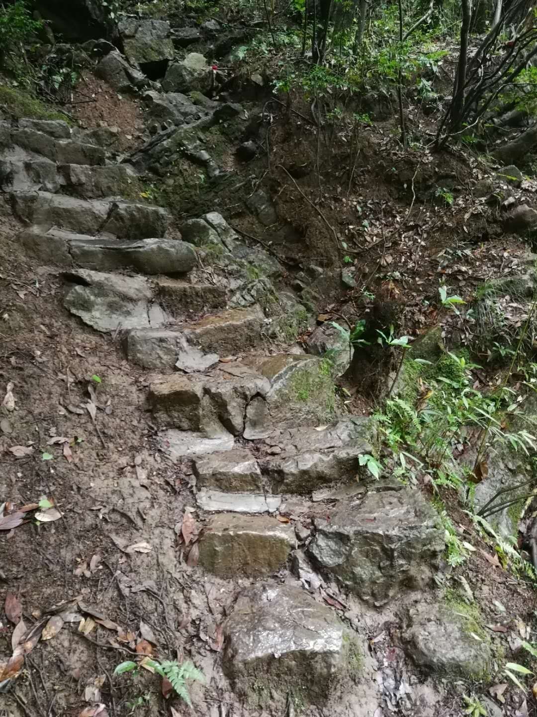 风水堂：梦见自己走山路的预兆