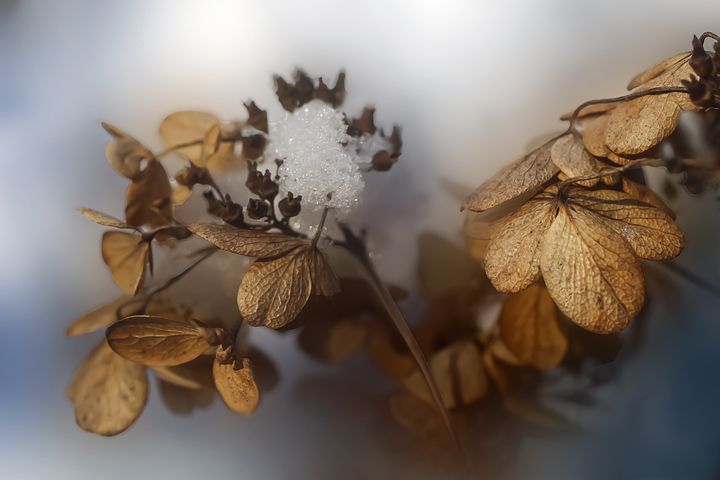 风水堂：梦见找宿舍暗示着什么