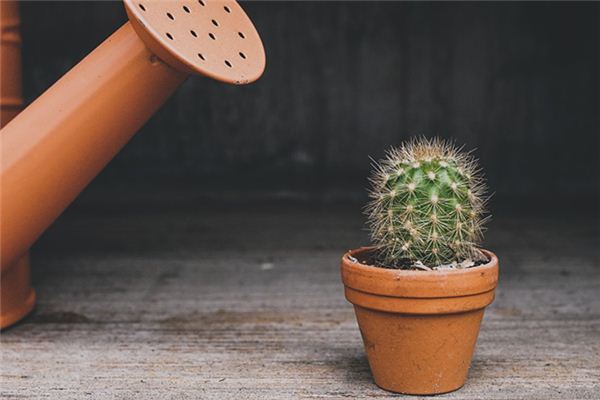 风水堂：梦见脚背刺炸