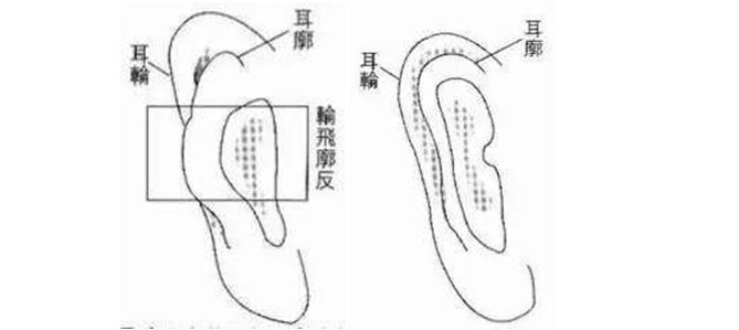 旺老婆的男人面相，看完你就知道了！