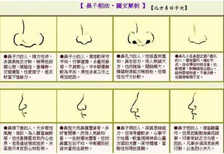 男人的鼻子面相图解，男人一生的命运很难富有