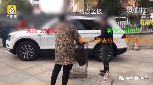 双下巴面相女人好不好 （兔子祈福）今天是孔雀王诞生日，宜：许愿，祈福，愿望达成