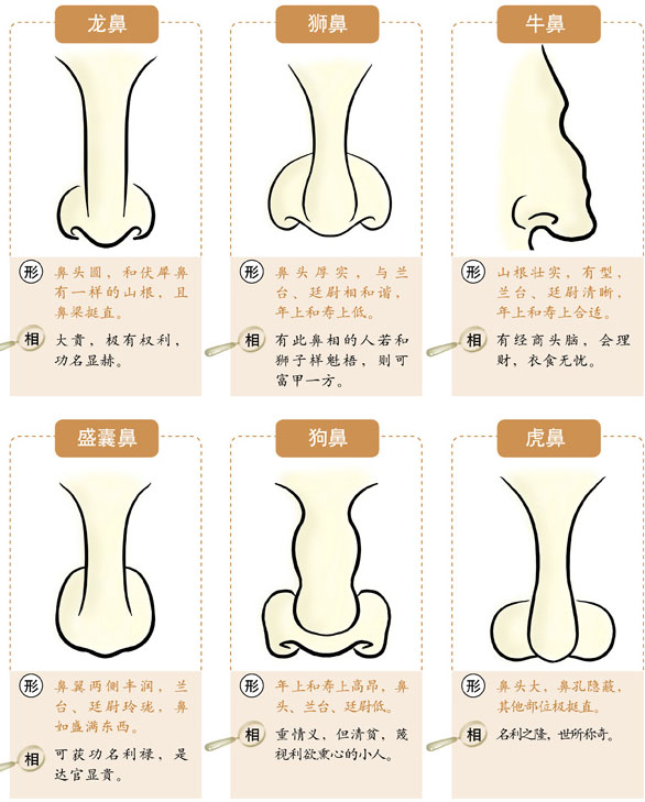 鼻子塌但是鼻头有肉的女人面相好不好？