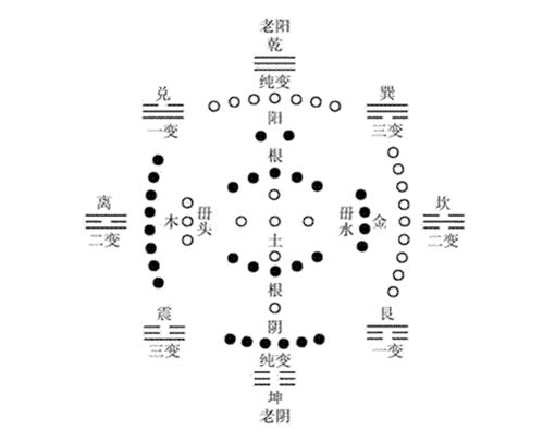 梅花易数断卦16步的知识，你知道吗？