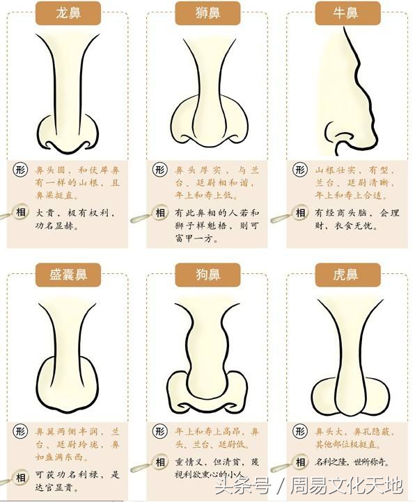 （李向东）脾气不好的男人鼻子面相是怎样的？