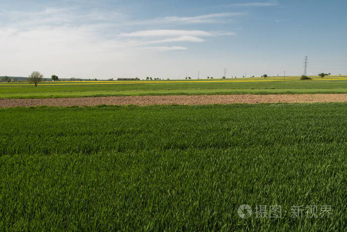 小麦、马铃薯、胡萝卜和甜菜根的4种种植方法