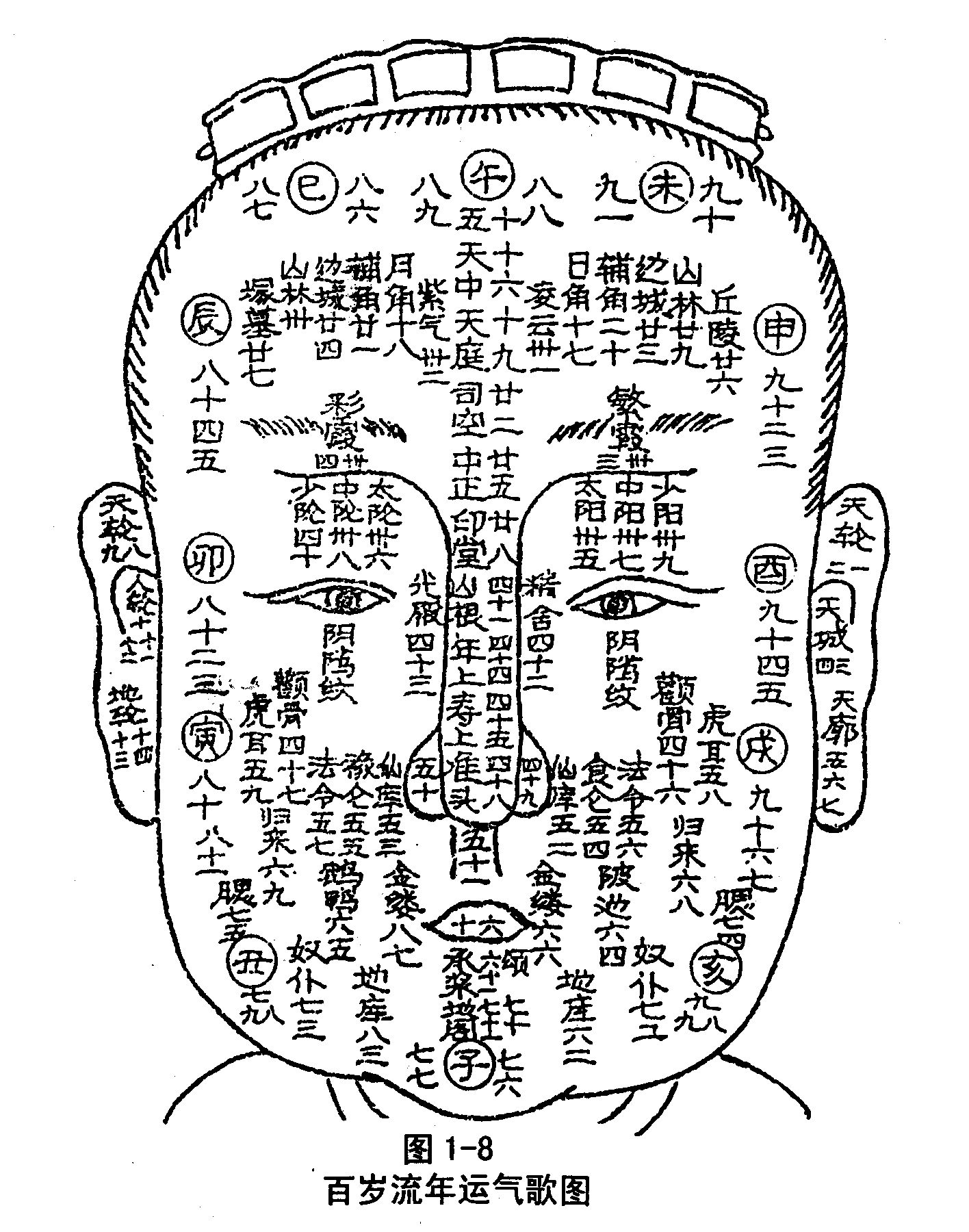 周易玄学面相解析，脸大不是好事，也可能代表着好福气