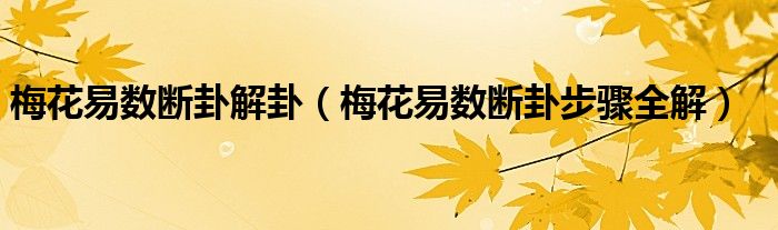 风水堂：梅花易数民俗文化教学