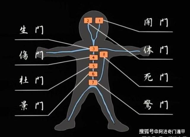 火影中纷繁复杂，体内门为何只有几名忍者？