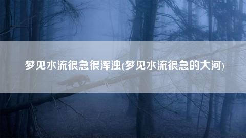 风水堂：梦见下雨水流成河的吉凶指数