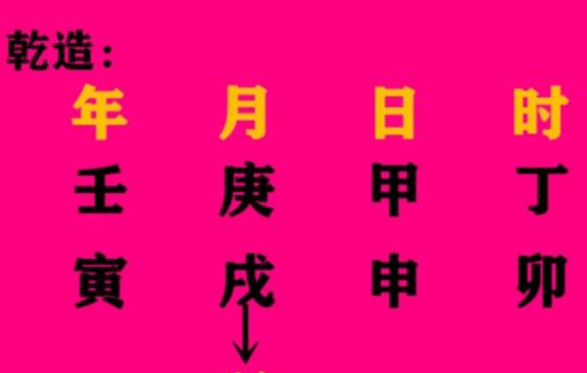 八字从格、日元强旺使之更强，日元衰弱