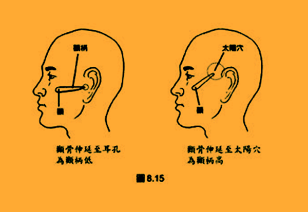 颧骨突出的面相好吗不会的，没有科学依据