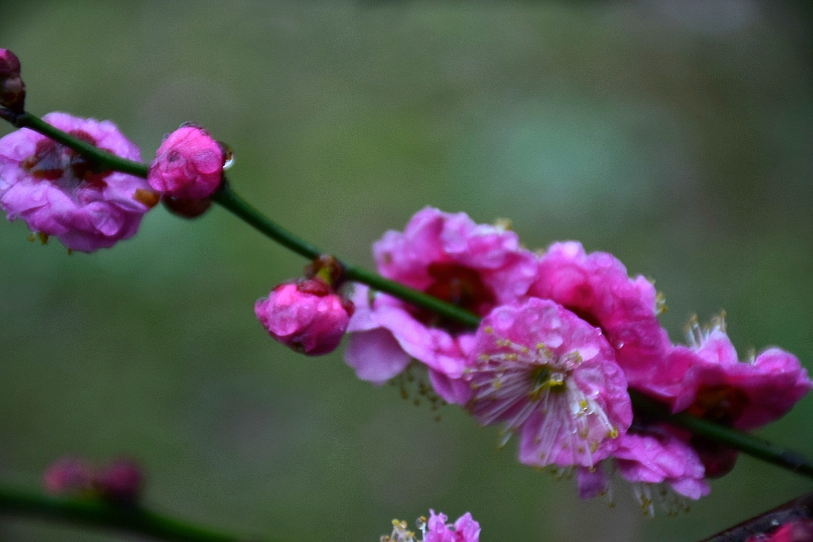 风水堂：梅花易数如何起卦？