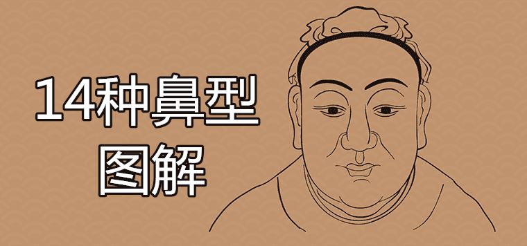 14种鼻型图解哪种是好命面相