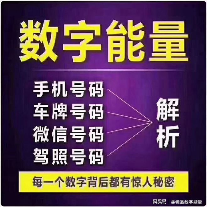 数字易经中,~9代表什么含义?